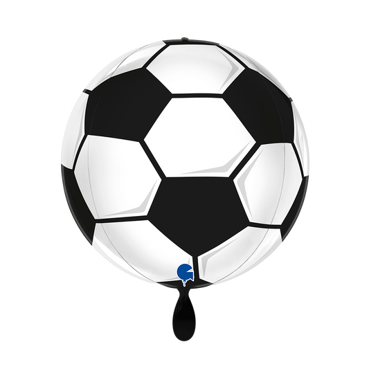 1 Ballon 4D - Globe - Voetbal