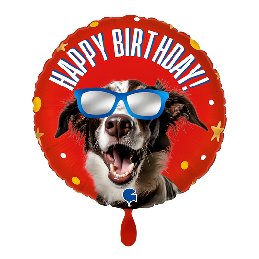 1 Ballon - Coole Doggy Verjaardag