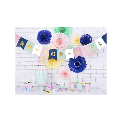 1 Feestbanner - Boy or Girl