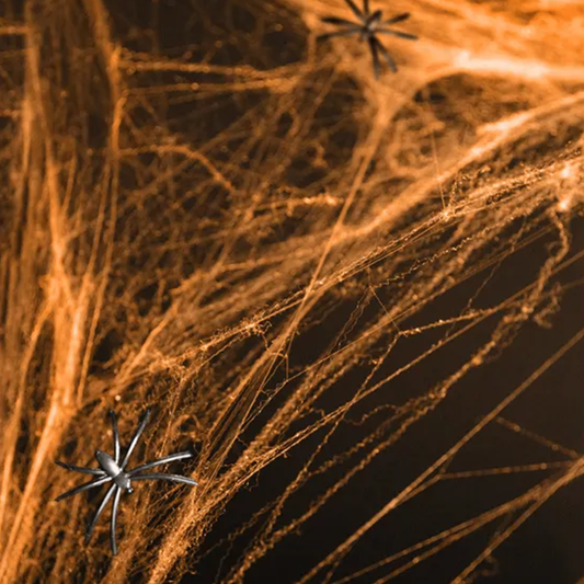 1 Halloween spinnenweb - oranje