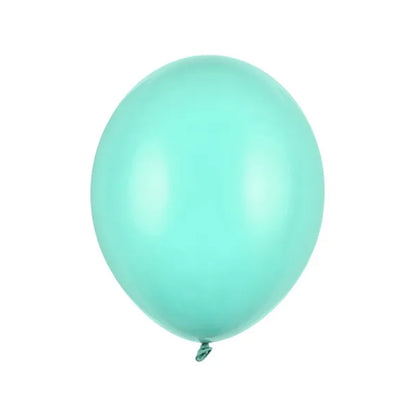 100 ballonnen - Ø 27cm - Pastel Licht Mint