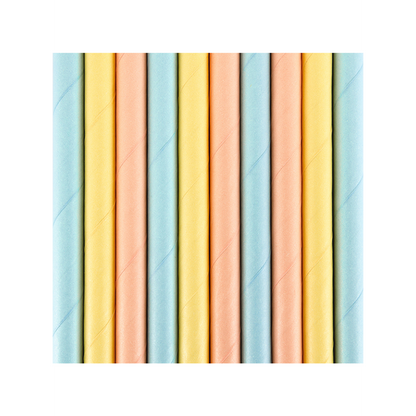 10 papieren rietjes - bont pastel