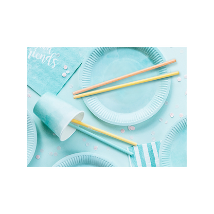 10 papieren rietjes - bont pastel