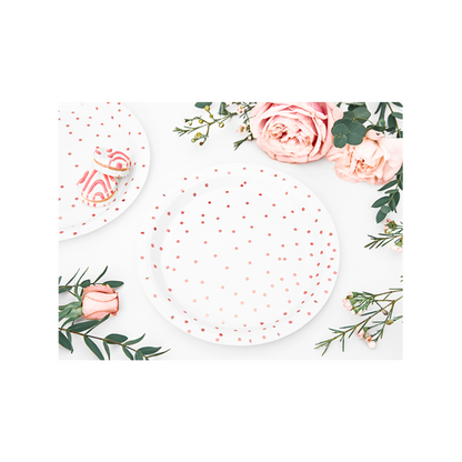 6 kartonnen bordjes Trend - Ø 18cm - Dots Wit